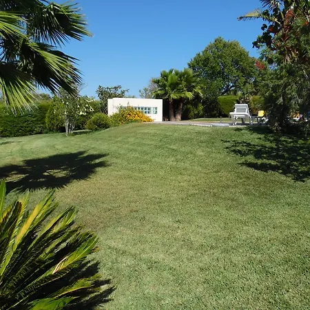 Horta Nova *