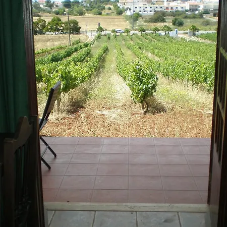Horta Nova *