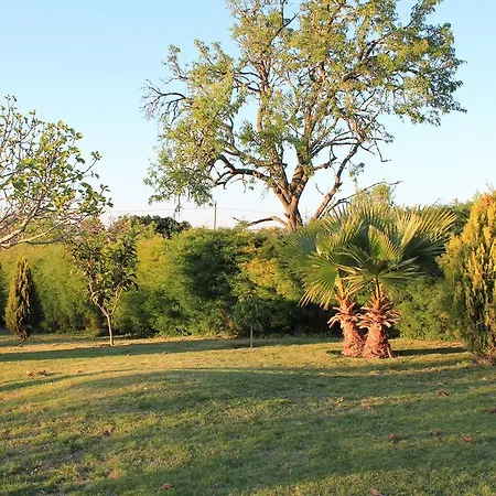 Vakantiehuis Horta Nova *