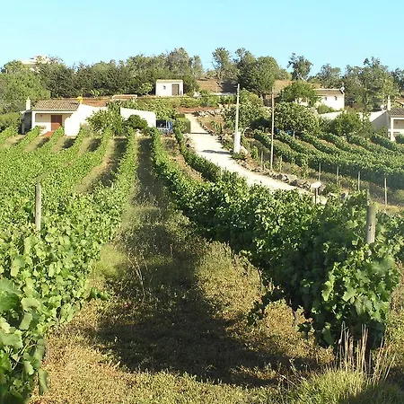 Vakantiehuis Horta Nova