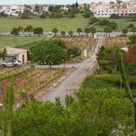 Horta Nova *