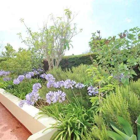 Horta Nova Λάγος