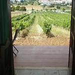 Horta Nova *