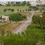 Horta Nova *