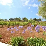 Horta Nova * לאגוּ‏ש