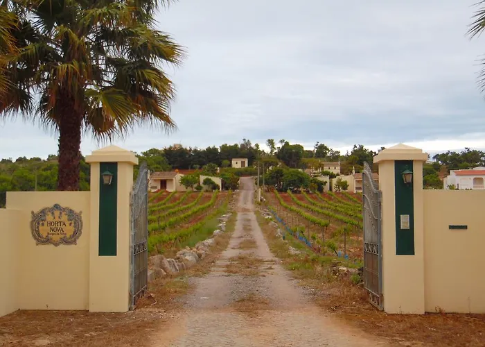 Horta Nova *