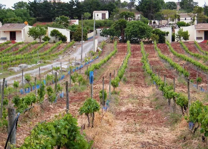 Tatil Evi Horta Nova