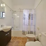 Horta Nova *